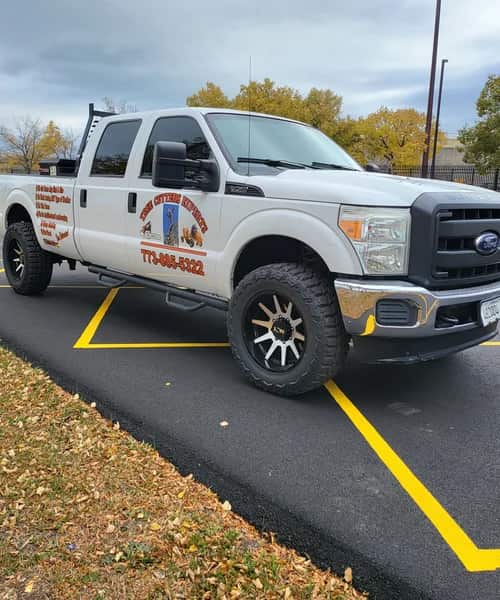 Tree service completed — Chicago residential property