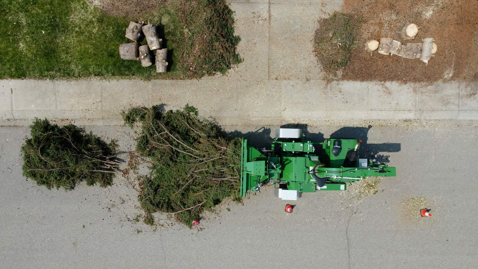 Tree Cutting